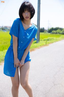 东风破电视剧全集免费播放